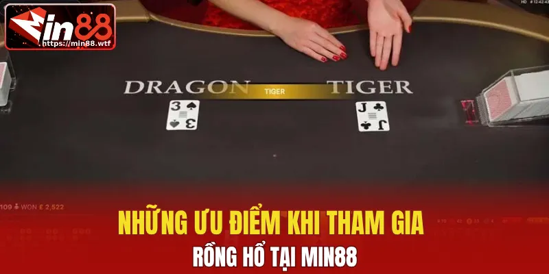 Những ưu điểm khi tham gia Rồng hổ tại MIN88